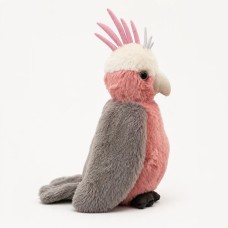 Galah