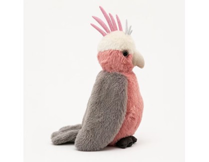 Galah