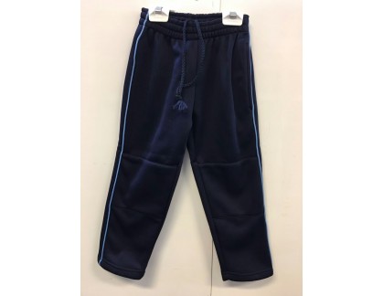 Holy Spirit sport Pants 